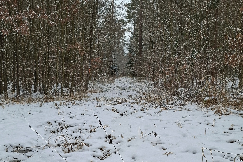 abb01