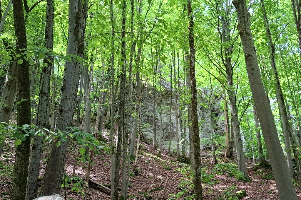 abb12